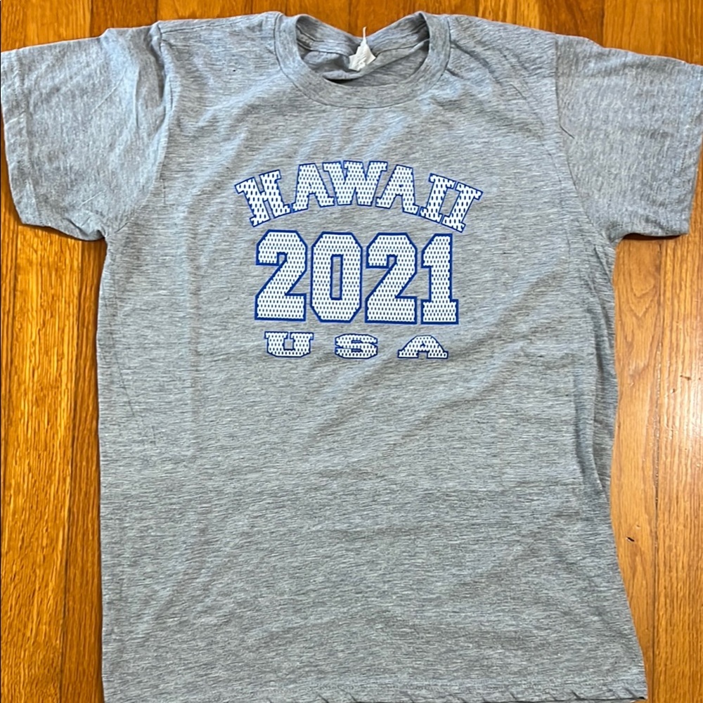 Size Small Gray T-Shirt with Blue Print